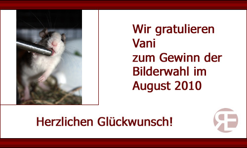 Bilderwahlgewinner