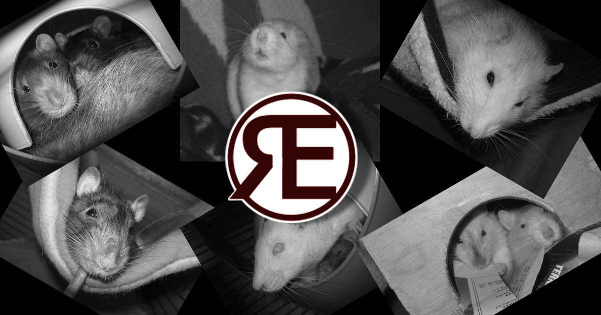 RE Ratten